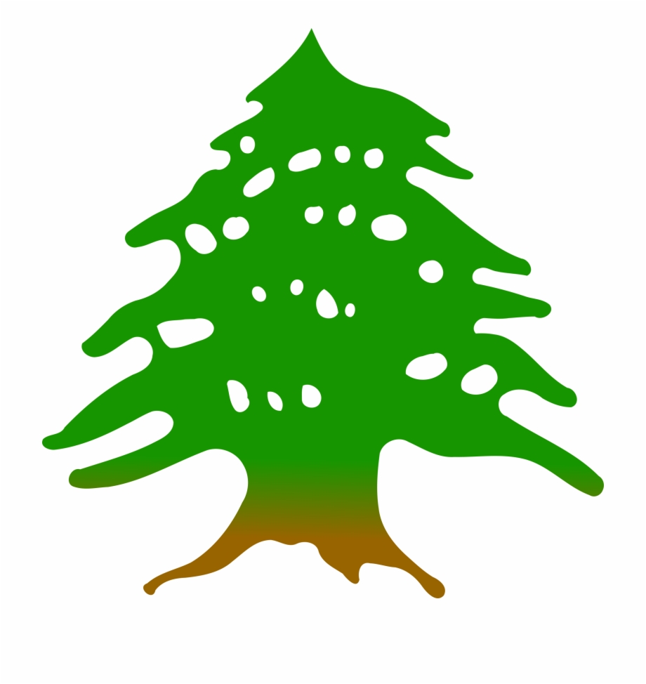 920x974 Cedar Tree