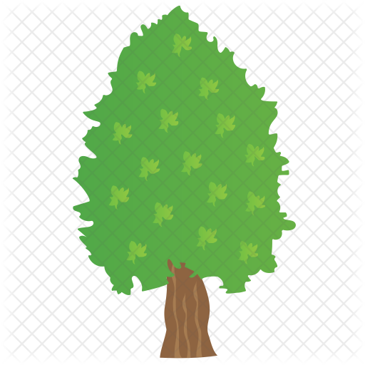 512x512 Cedar Tree Icon Of Flat Style