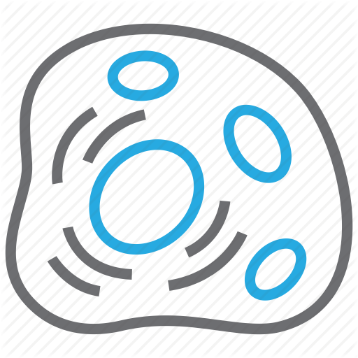 Biology, Cell, Cytoplasm, Human Cell Icon 512x512 Biology, Cell, Cytoplasm, Human Cell Icon