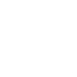 256x256 White Moon Icon