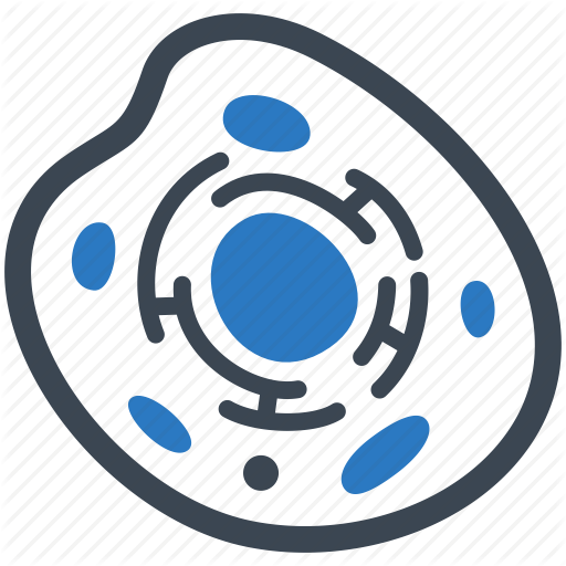 Biology, Cytoplasm, Human Cell, Nucleus Icon 512x512 Biology, Cytoplasm, Human Cell, Nucleus Icon
