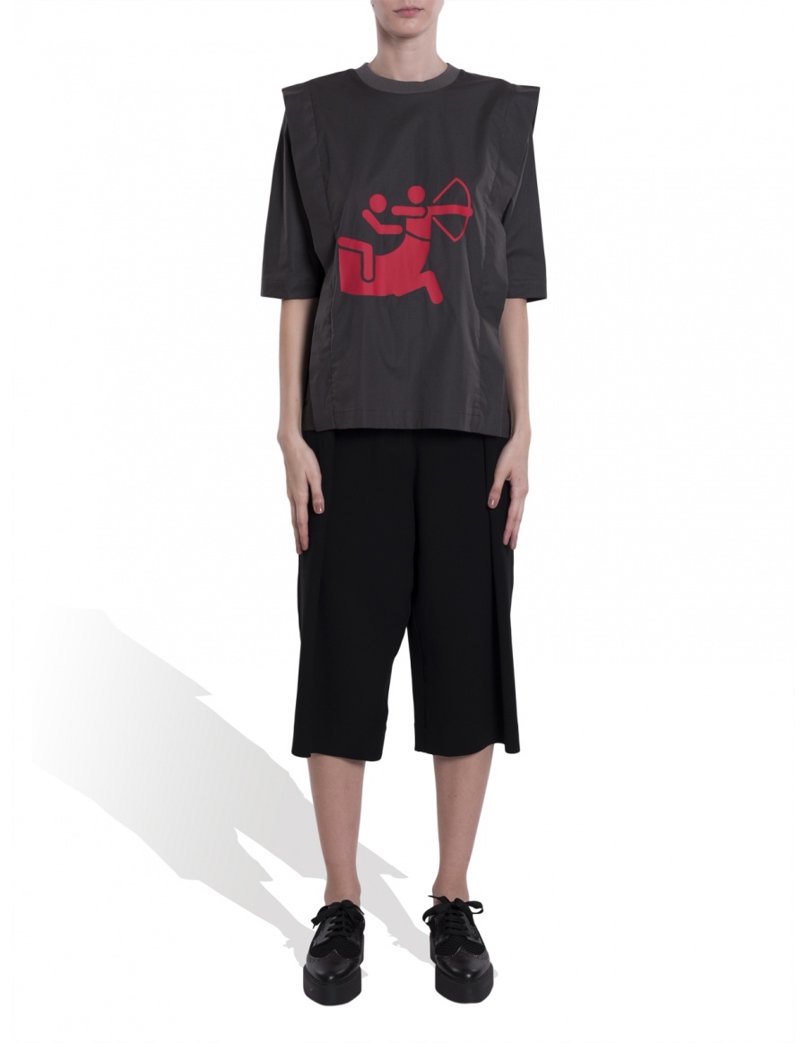 900x1163 Shirt Icon Centaur Molecule F