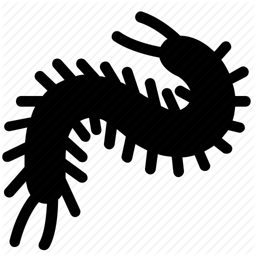 512x512 Centipede, Hobby, Insect, Pet, Terrarium Icon