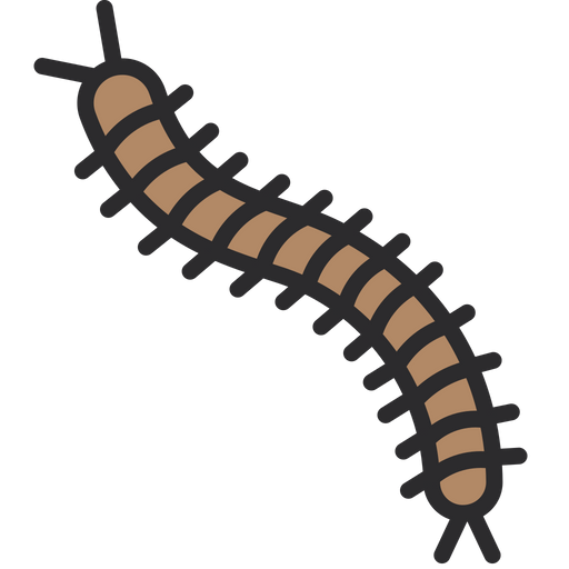 512x512 Centipede Icon Of Colored Outline Style