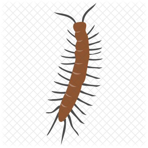 512x512 Centipede Icon Of Flat Style