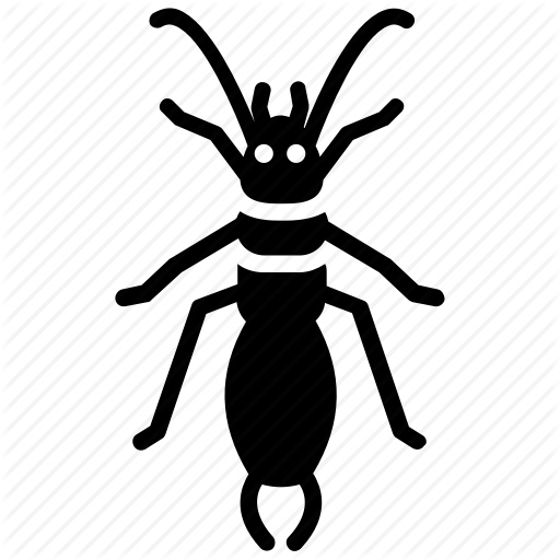 512x512 Centipede Family, Earwig, Insect, Invertebrate, Pest Icon