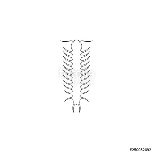 500x500 Centipede Flat Vector Icon Stock Image And Royalty Free Vector