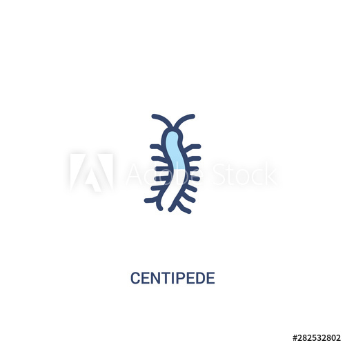 500x500 Centipede Concept Colored Icon Simple Line Element Illustration