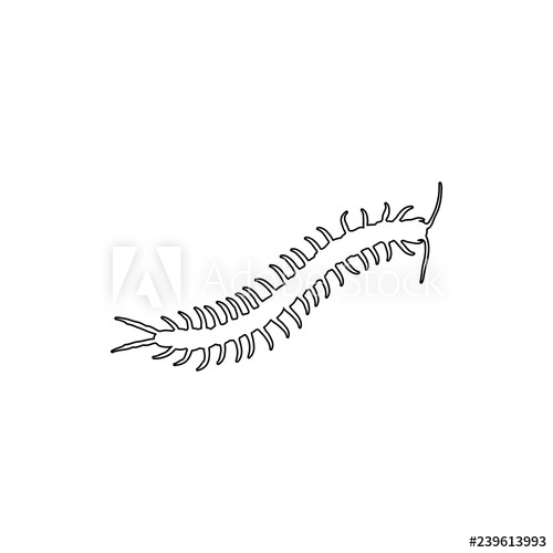 500x500 Centipede Icon Element Of Insect For Mobile Concept And Web Apps