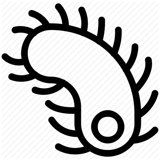 512x512 Animals, Bacteria, Centipede, Insect, Pets Icon