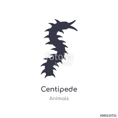 500x500 Centipede Icon Isolated Centipede Icon Vector Illustration