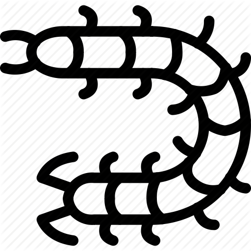 512x512 Animals, Centipede, Insect, Pets Icon