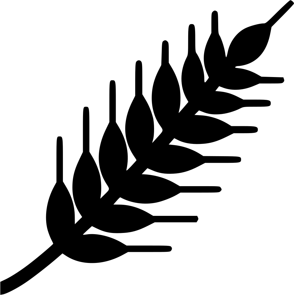 981x984 Cereal Png Icon Free Download