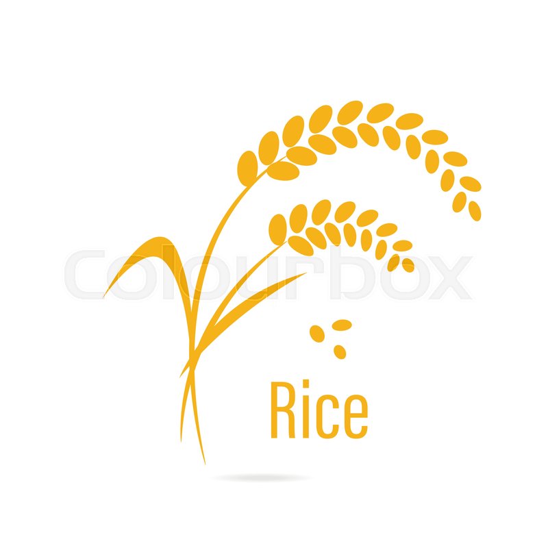 800x800 Cereal Icon With Rice Vector Stock Vector Colourbox