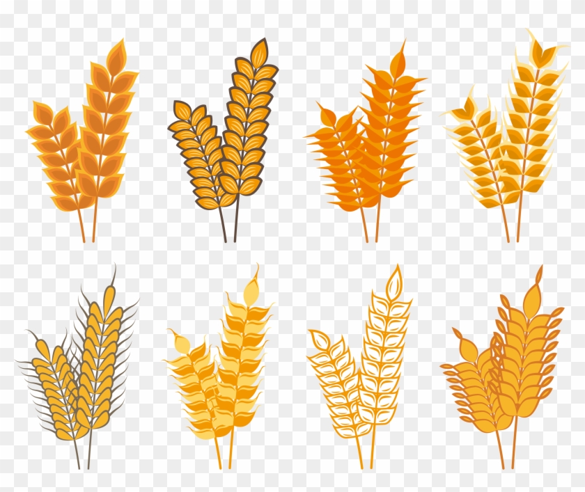 840x707 Oat Rice Cereal Icon