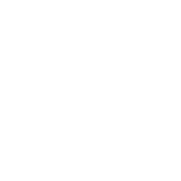 256x256 Free White Cessna Icon