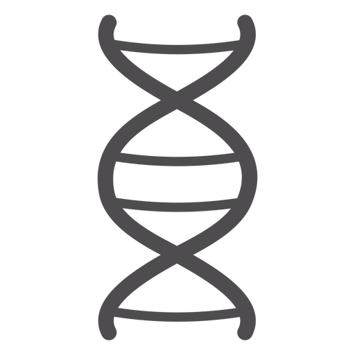 512x512 Dna Chain Stroke Icon