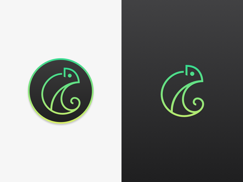 800x600 Chameleon Icon