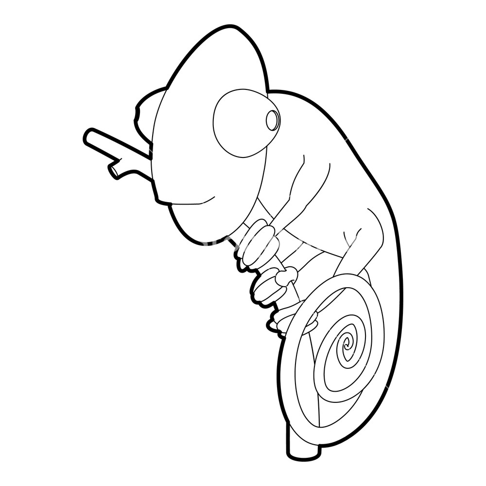 1000x1000 Chameleon Icon Outline Illustration Of Chameleon Vector Icon