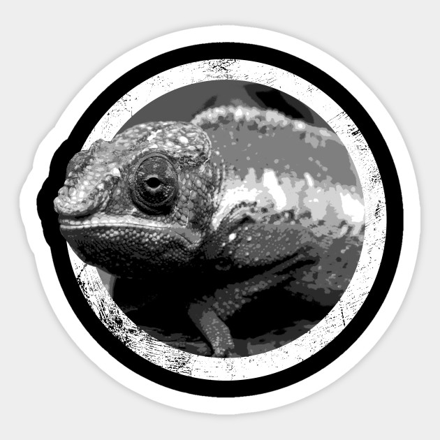 630x630 Distressed Pet Chameleon Icon