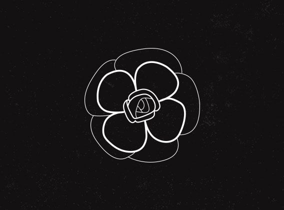 568x420 Chanel Icons Illustration