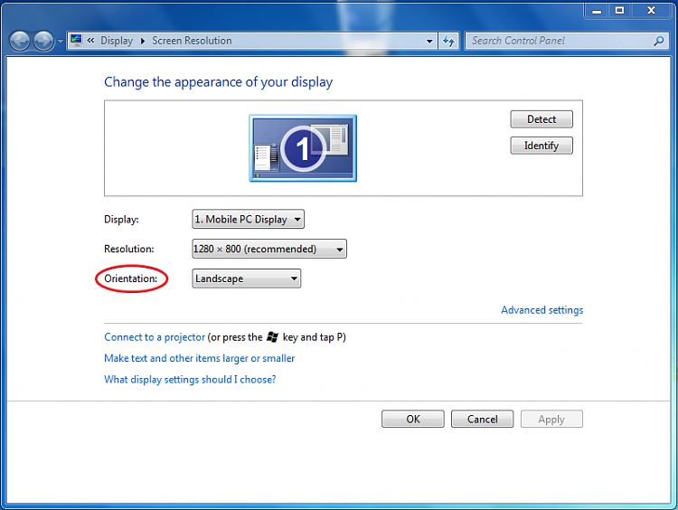 750x564 Can Someone Help Me Make A Bat