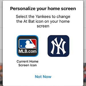 300x300 How To Change Home Screen App Icons On Iphone And Ipad