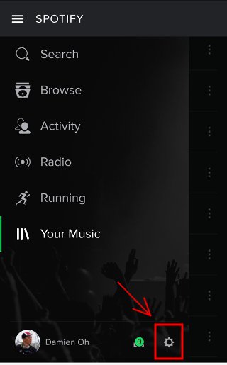 320x515 Move Offline Music In Spotify For Android To Sd Card