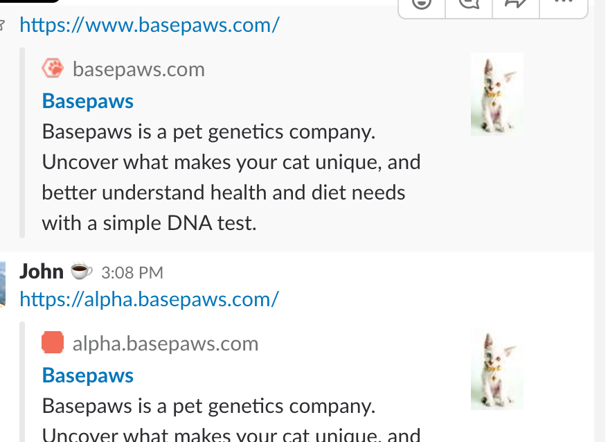 878x638 Favicon Of Website Is Blurred In Slack, What Icon Size Does Slack