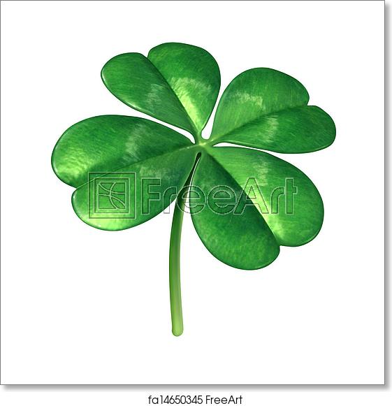 561x581 Free Art Print Of Four Leaf Clover Four Leaf Clover Plant As
