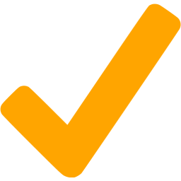 256x256 Orange Checkmark Icon