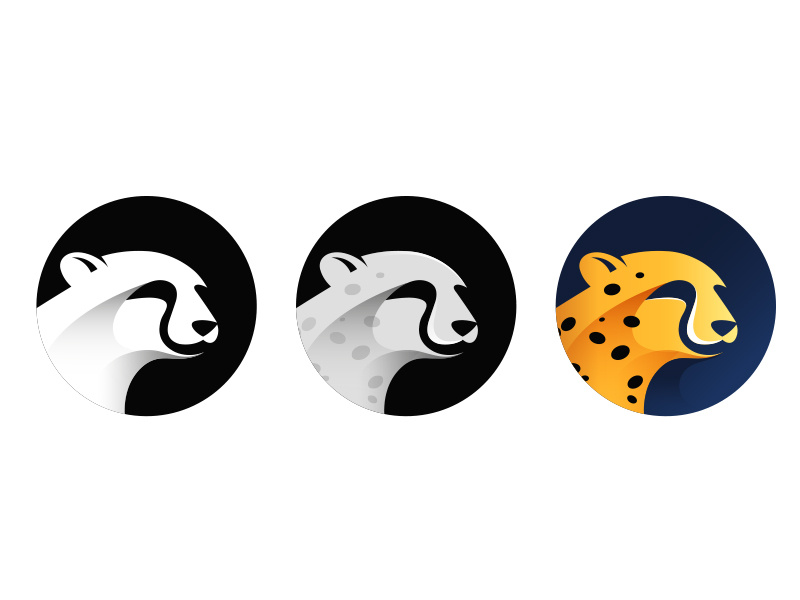 800x600 Cheetah Icon