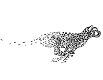 202x158 Cheetah Icon On Behance