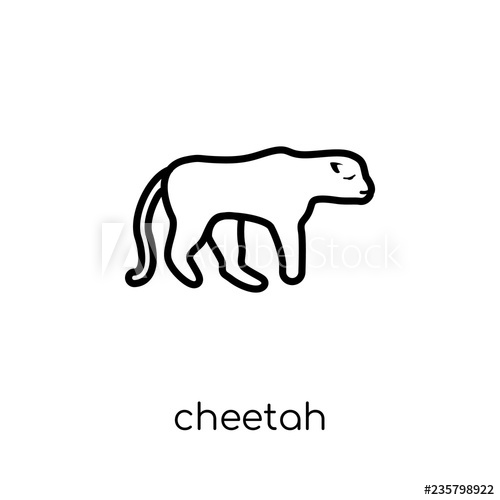 500x500 Cheetah Icon Trendy Modern Flat Linear Vector Cheetah Icon