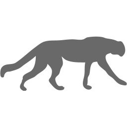 256x256 Dim Gray Cheetah Icon