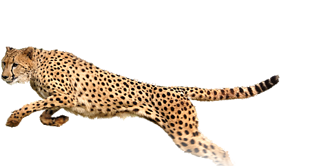 463x242 Icon Cheetah Png