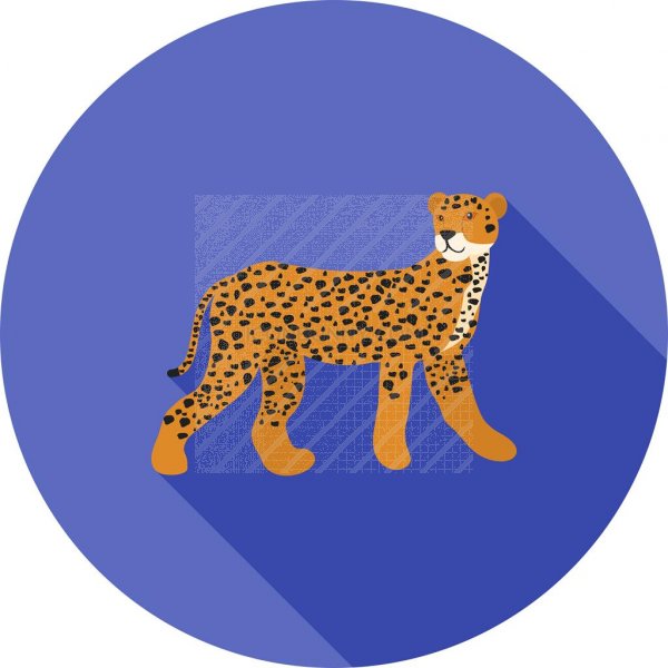 600x600 Cheetah Flat Shadowed Icon