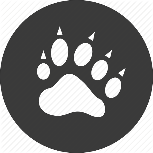 512x512 Bear, Cat, Cheetah, Paw, Print, Tiger Icon