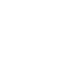 256x256 White Chemical Weapon Icon