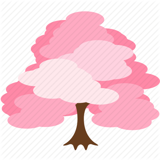 512x512 Cherry Blossom, Flower, Hanami, Ooyama Sakura, Sakura, Spring