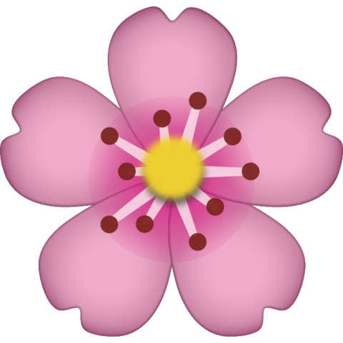 480x480 Download Cherry Blossom Emoji Icon Emoji Island