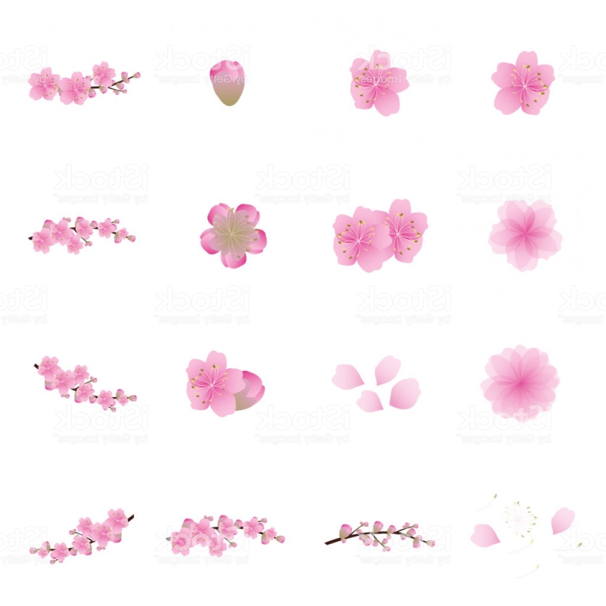 1228x1228 Sakura Flowers Icon Set Cherry Blossom Vector Illustration Gm