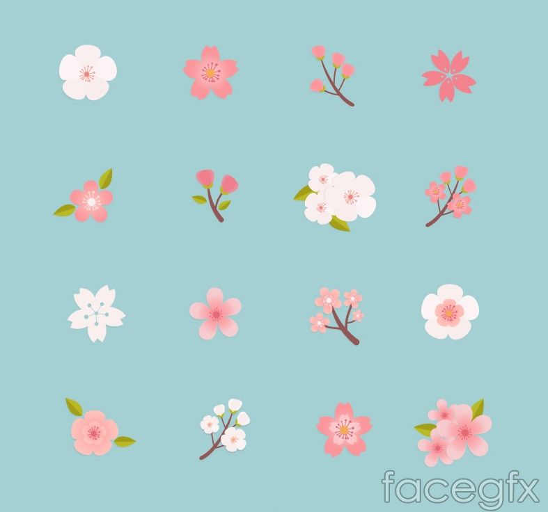 787x736 Beautiful Cherry Blossom Icon Vector Event Cherry Blossom