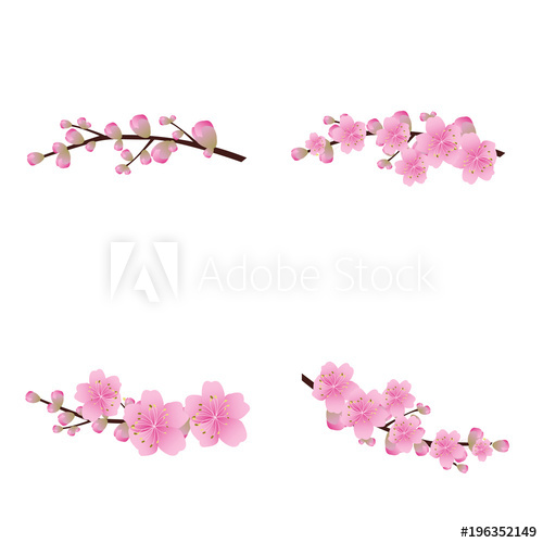 500x500 Sakura Flowers Icon Set Cherry Blossom Vector Illustration