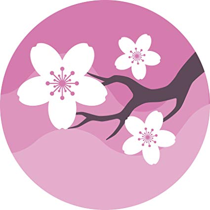 425x425 Pretty Simple Pink White Japanese Cherry Blossom