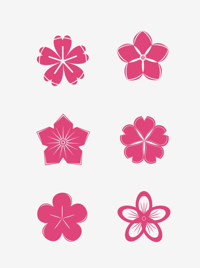 640x856 Cherry Blossom Icon, Cherry Blossom, Beautiful Cherry Blossom Png