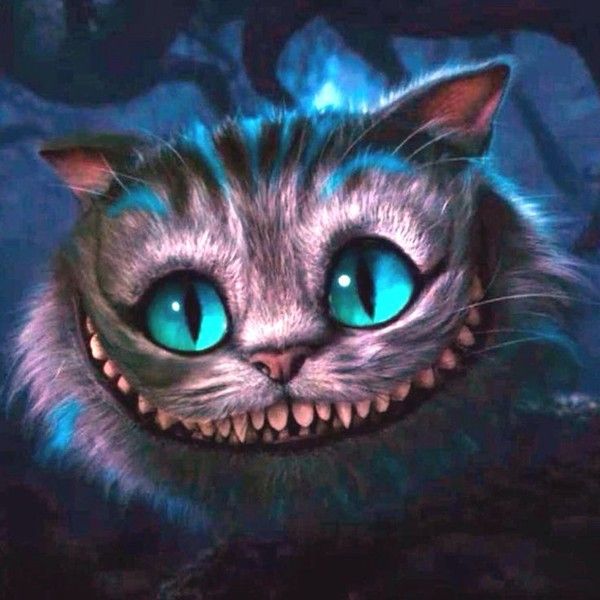 600x600 Hannah Meghan Liked On Polyvore Featuring Disney, Alice