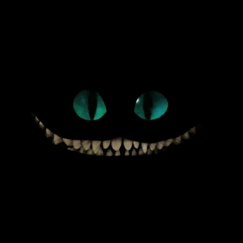 Cheshire Cat Icon at Vectorified.com | Collection of Cheshire Cat Icon ...