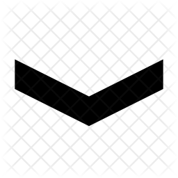 256x256 Chevron Down Icon Of Glyph Style