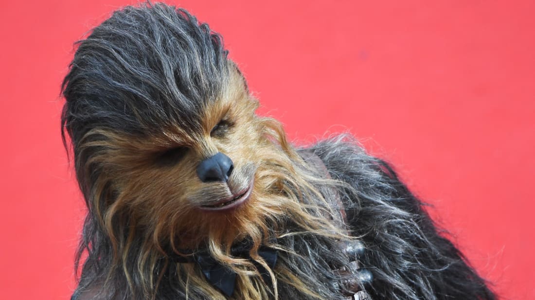 1100x617 Things You Might Not Know About Chewbacca Mental Floss